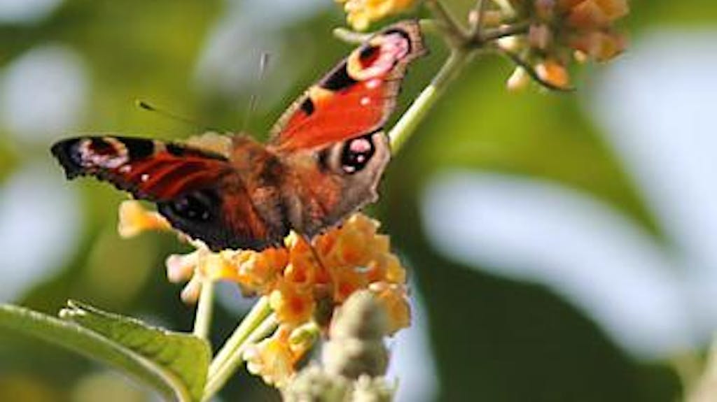 Afbeelding protest red de zorg
