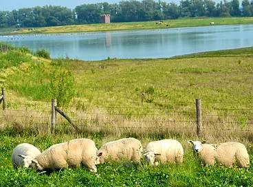 Afbeelding protest red de zorg