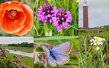 Afbeelding protest red de zorg