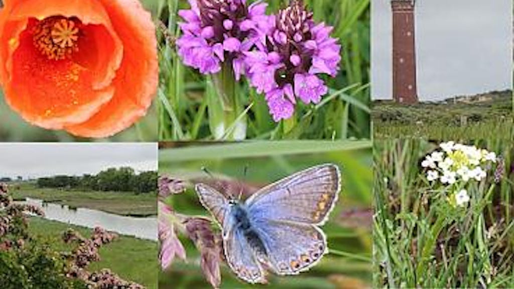 Afbeelding protest red de zorg