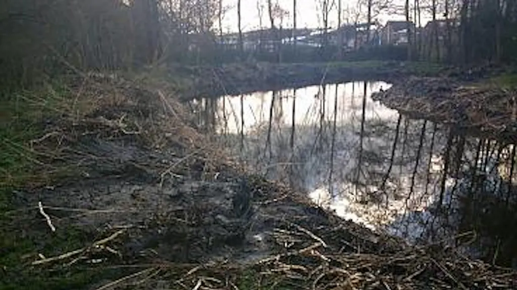 Afbeelding protest red de zorg