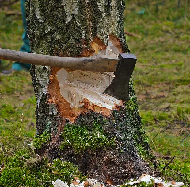Afbeelding protest red de zorg